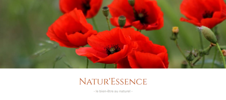 Natur'essence logo website