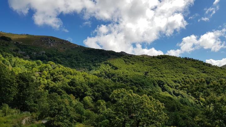 Vue sur les Monts d'Ardèche